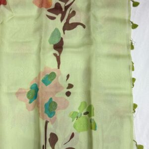Saree-33
